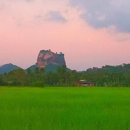 Nice View Lodge Sigiriya Exterior photo