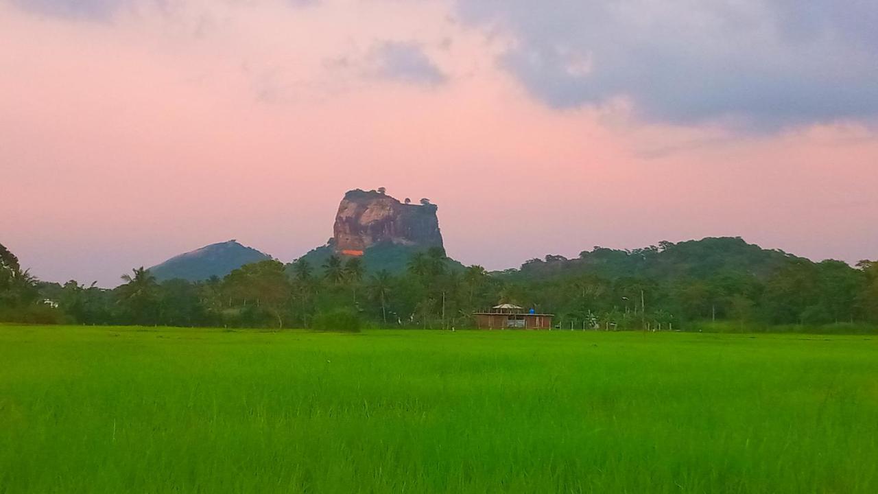 Nice View Lodge Sigiriya Exterior photo