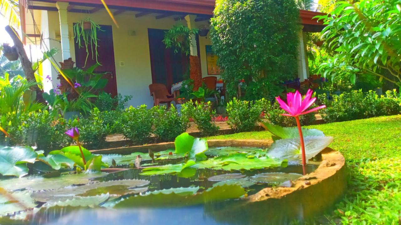 Nice View Lodge Sigiriya Exterior photo