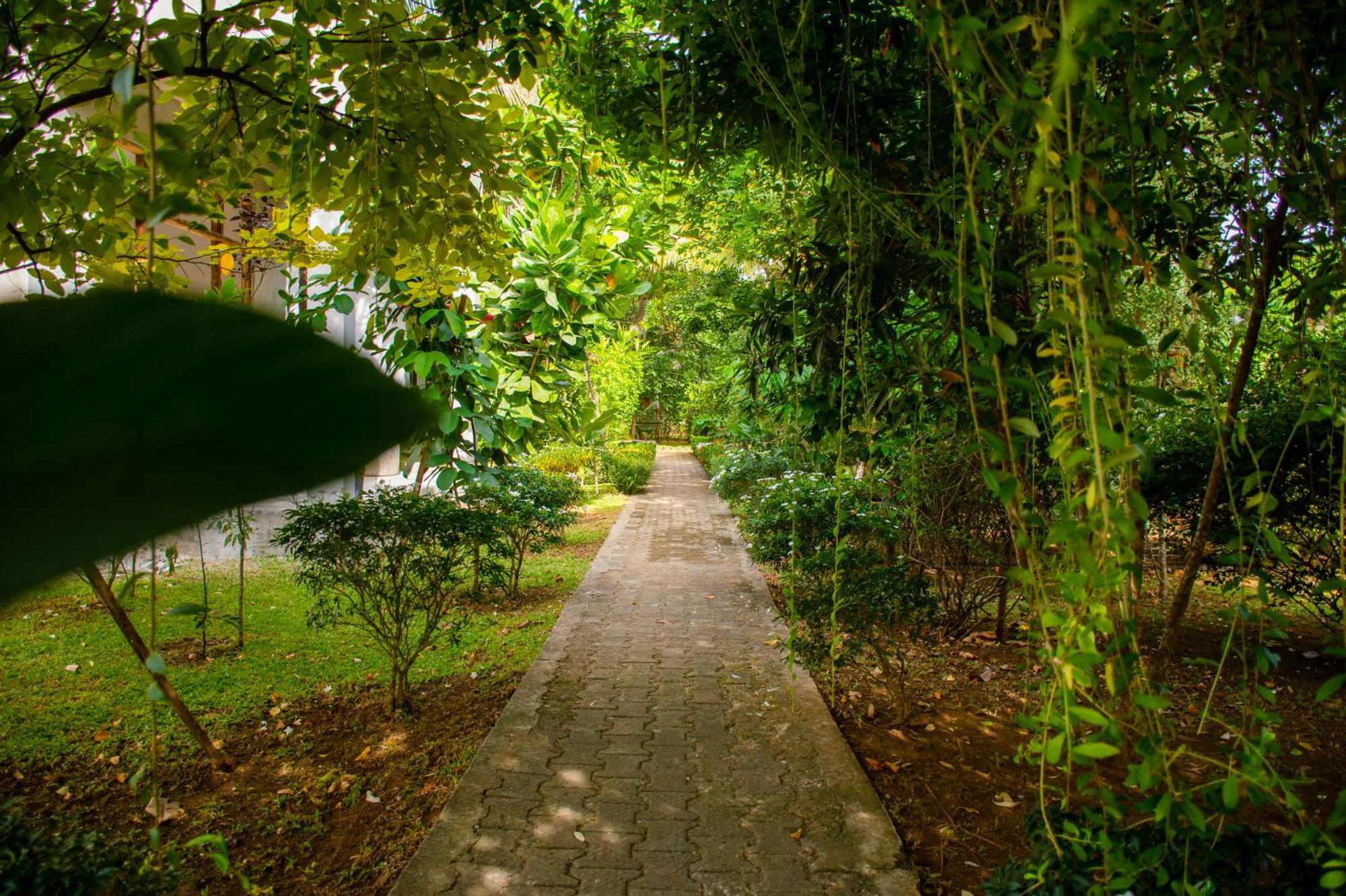 Nice View Lodge Sigiriya Exterior photo