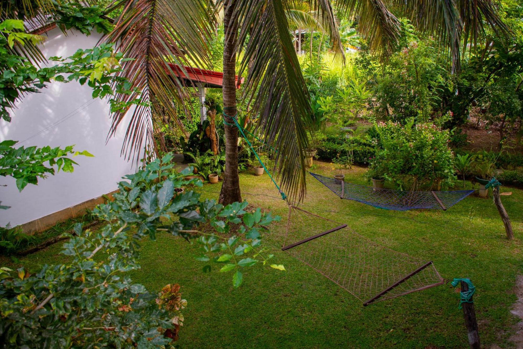 Nice View Lodge Sigiriya Exterior photo