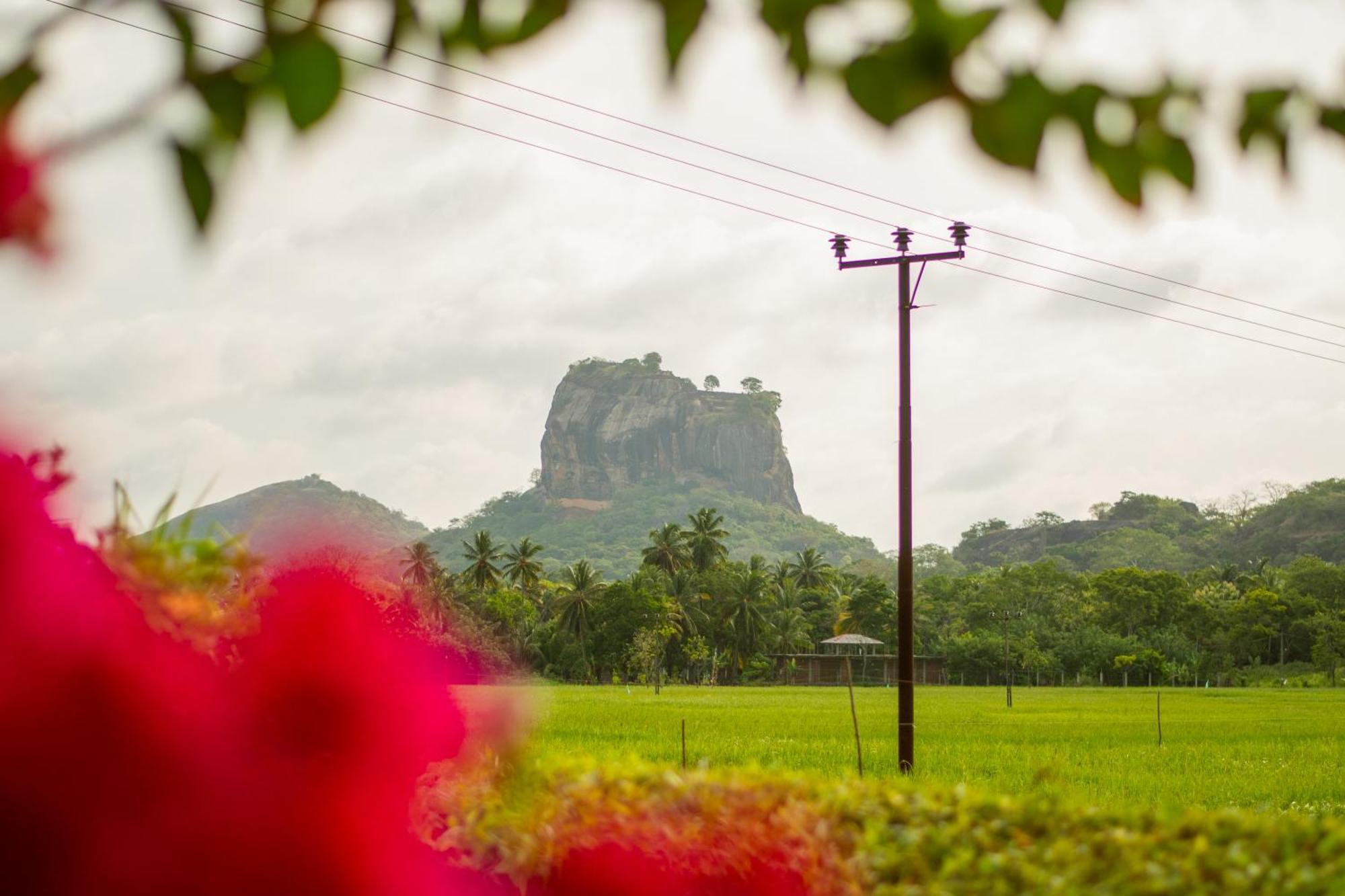 Nice View Lodge Sigiriya Exterior photo