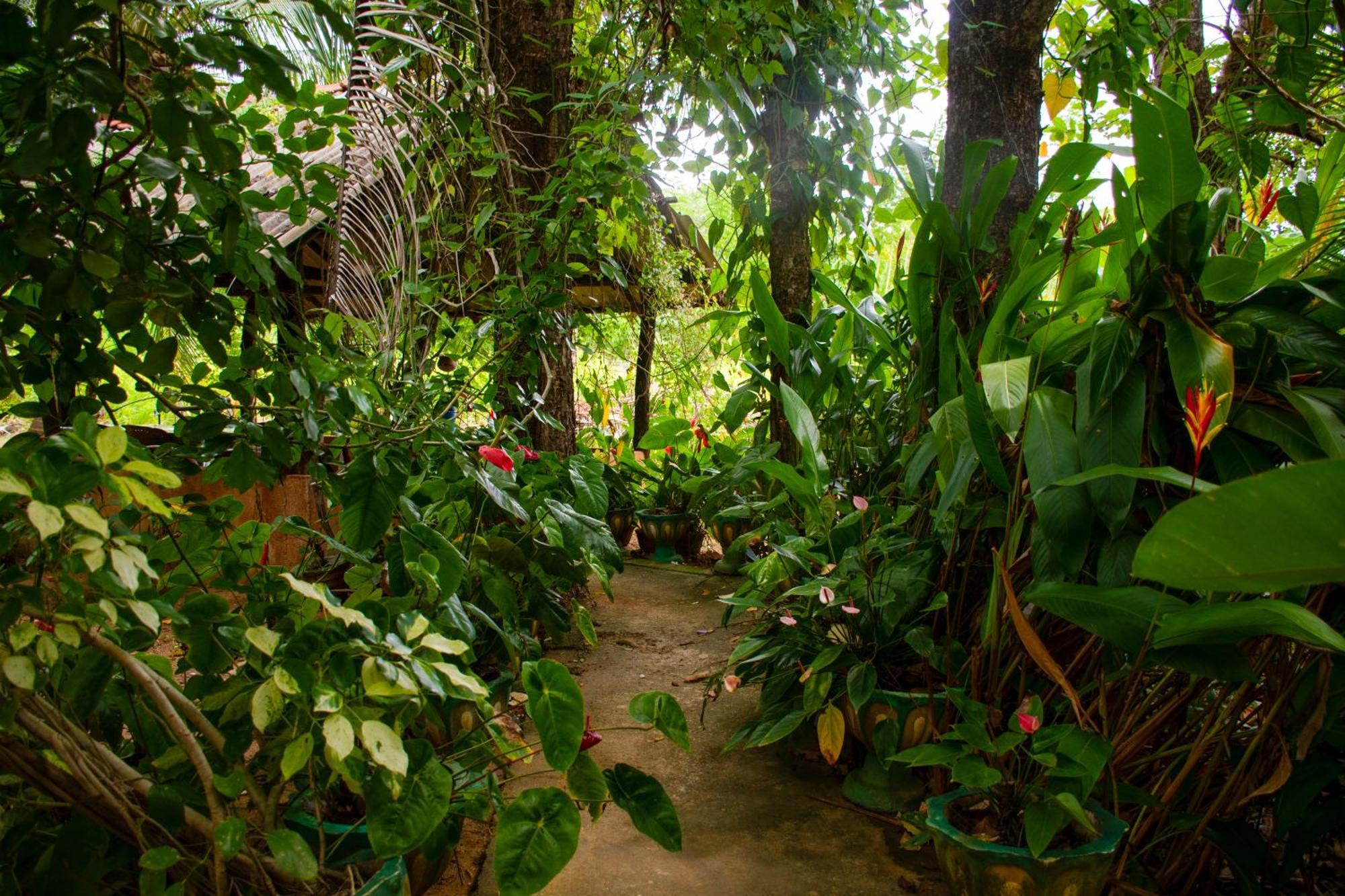 Nice View Lodge Sigiriya Exterior photo