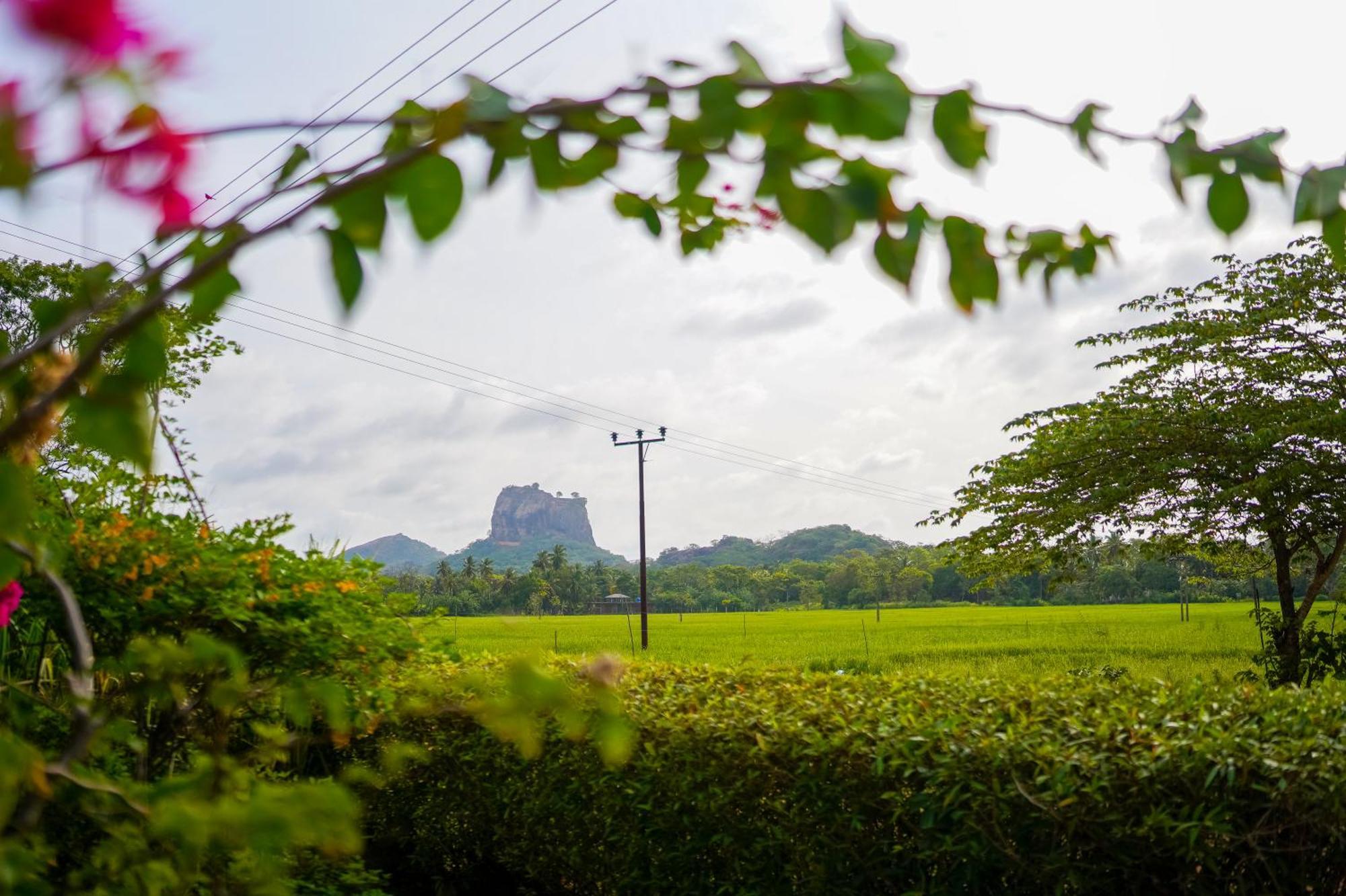 Nice View Lodge Sigiriya Exterior photo