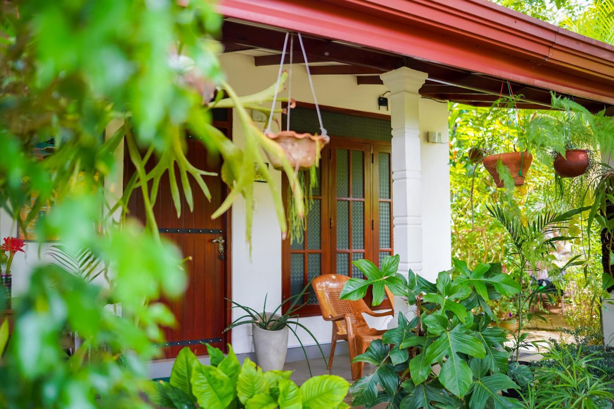 Nice View Lodge Sigiriya Exterior photo