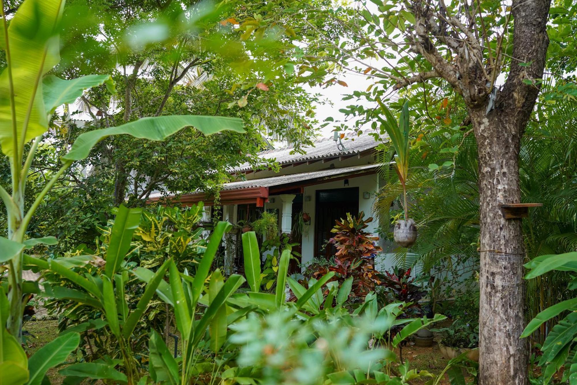 Nice View Lodge Sigiriya Exterior photo