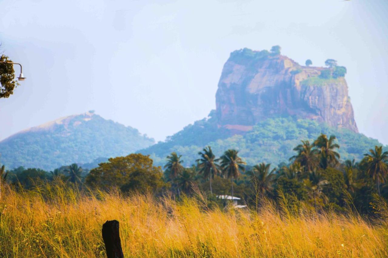Nice View Lodge Sigiriya Exterior photo